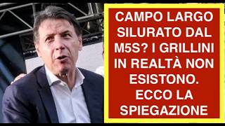 CAMPO LARGO SILURATO DAL M5S? I GRILLINI IN REALTÀ NON ESISTONO.  ECCO LA SPIEGAZIONE