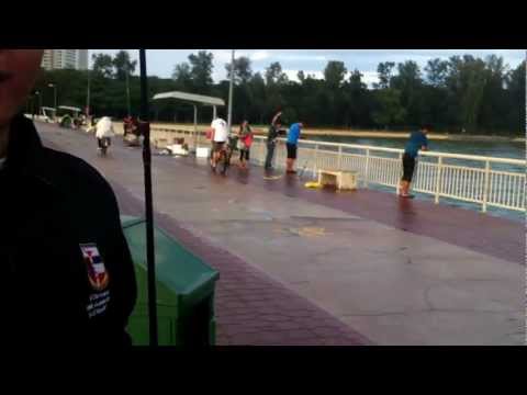 Caught puffer fish at Bedok Jetty