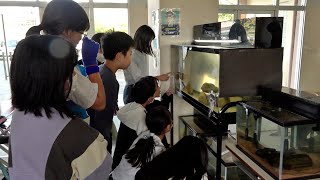 10月30日【びわ湖放送ニュース】小学校に「スマイル水族館」オープン