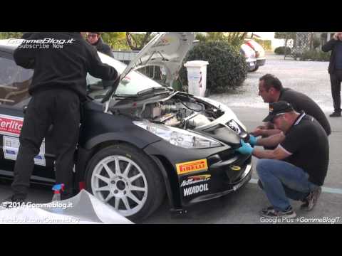 Rally Ciocco 2014: Peugeot 207 S2000 "LB TECNORALLY" Preparazione e Sound