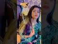 New Mujra Song Dance Enjoy
