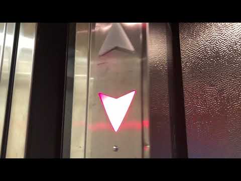 4K 60fps: KEYSTONE? Hydraulic Elevator At Harvard Museum Of Natural History - Cambridge, MA