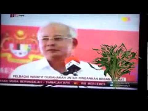 download lagu mp3 mp4 Kangkung Song, download lagu Kangkung Song gratis, unduh video klip Kangkung Song
