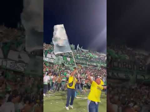 "LOS DEL SUR | Está descontrolada la hinchada de Nacional " Barra: Los del Sur &bull; Club: Atlético Nacional