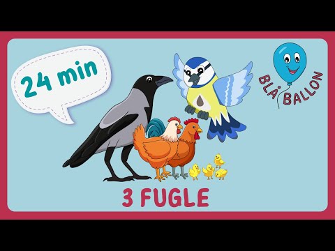 24 MINUTTER: 3 søde film om fugle. Høns, krager og blåmejser. Dyr for børn. Dyrelyde.