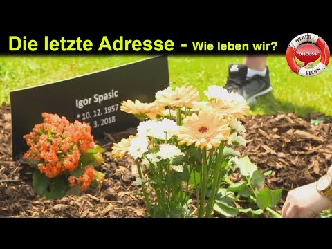 🔵🔵🔵Die letzte Adresse - Wie leben wir?