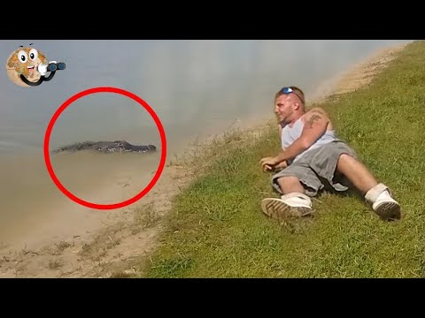 Nekat Yang Bikin Jantungan!!! Inilah 5 Pertemuan Dengan Buaya Yang Seharusnya Kalian Tidak Tonton