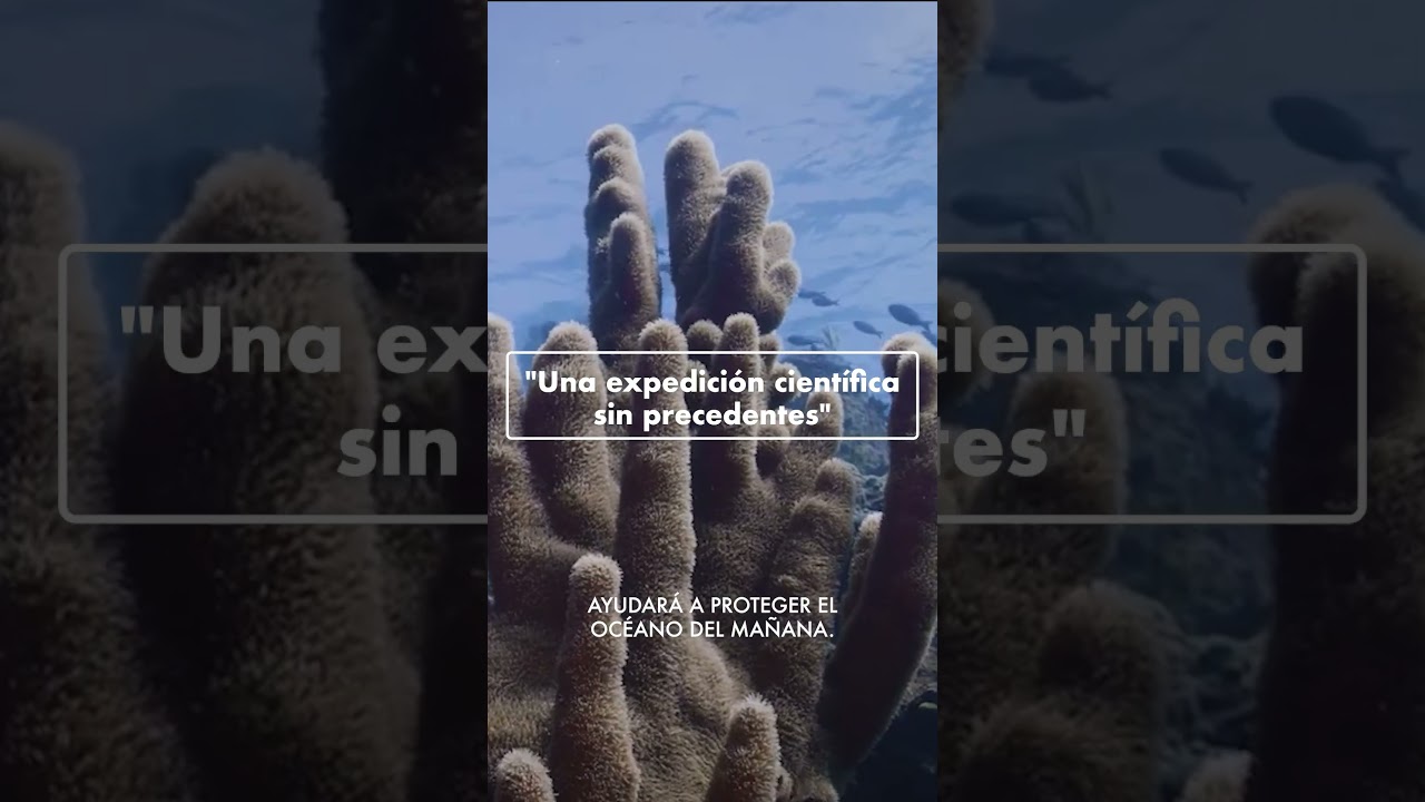 Una expedición científica sin precedentes. Un océano aún por descubrir.