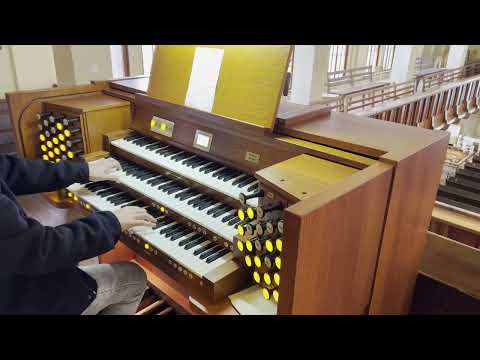 Sabaton: Dreadnought (Organ)