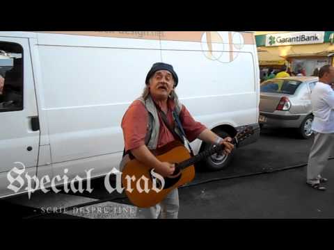 Trubadur la Zilele Aradului 2015