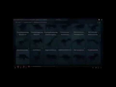 all 84 dinosaurs of Jurassic world evolution 2