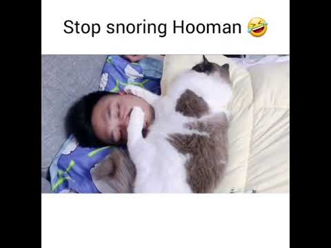 Stop Snoring Hooman😅😅