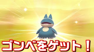 ゴンベ ポケットモンスター シャンデラ カムカメ フィオネ