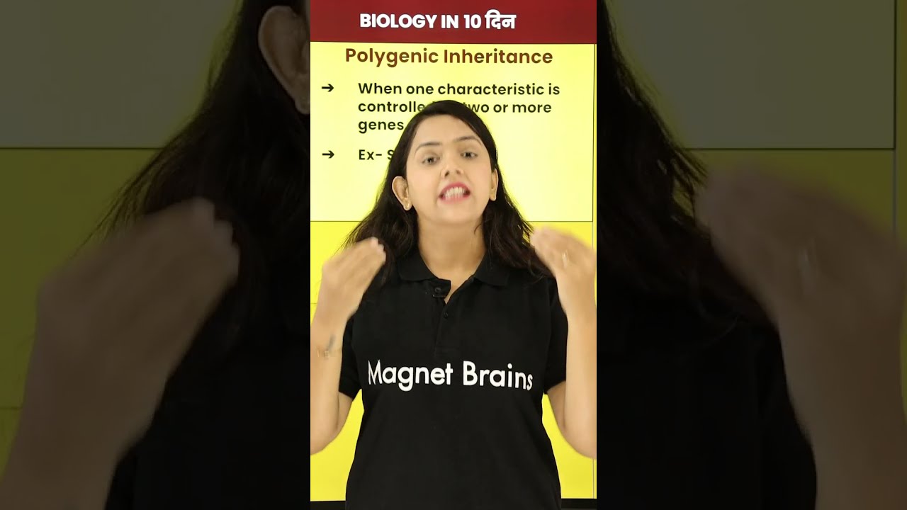 What Is Polygenic Inheritance - Biology in 10 Days! #Shorts #Magnetbrains