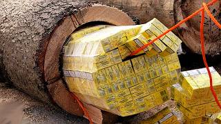 Os contrabandistas mais inteligentes de toda a história