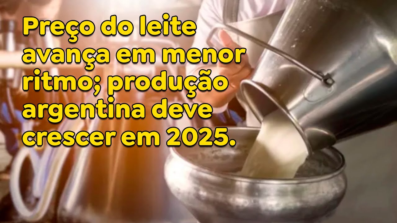 Preço do leite avança em menor ritmo; produção argentina deve crescer em 2025.