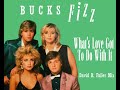 Bucks Fizz What S Love Got To Do With It David R Fuller Mix