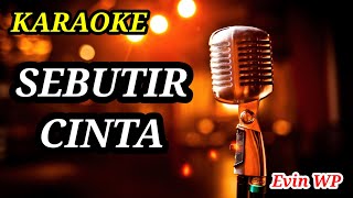 Download lagu Evin WP karaoke SEBUTIR CINTA mp3