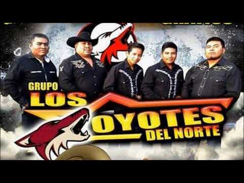 EL CARRO ROJO - LOS COYOTES DEL NORTE