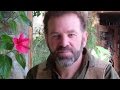 Botany In A Day Tutorial 46 Mins The Patterns Method Of Plant Identification