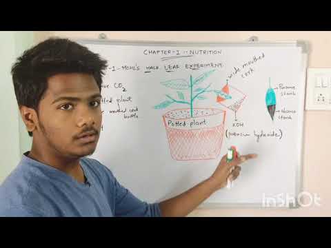 PHOTOSYNTHESIS BY PHANINDRA