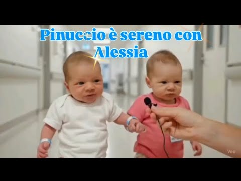 Pinuccio è sereno con Alessia + Altri Video Divertenti & Interessante. {AI} #pinuccio #alessia 