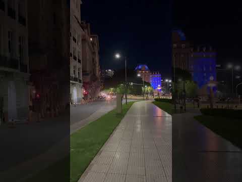 Avenida Leandro N. Alem - 2025 #buenosaires #argentina #tour #visitargentina #ba￼