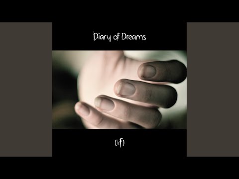 The Saint - Diary Of Dreams