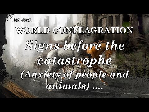 BD 4371 - SIGNS BEFORE the CATASTROPHE .... ANXIETY of PEOPLE and ANIMALS ....