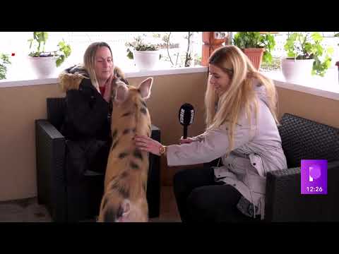 TRINAESTO PRASE - Njega je majka definitivno rodila pod srećnom zvezdom!