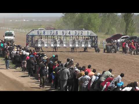 TALLADOR - Club Hípico Cipriano Catriel 24-10-21