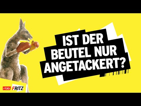 Das duale System | Neues vom Känguru reloaded | Marc-Uwe Kling | Känguru-Chroniken-Storys