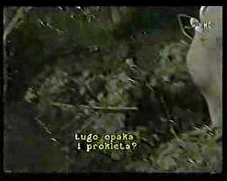 Prekljatstvo Kosceljiska