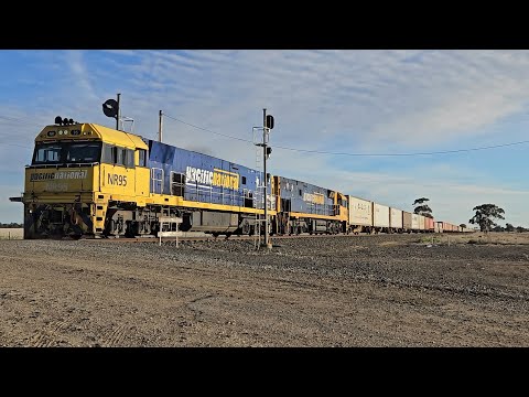 2PM5 PN up "Linfox Express #1" (NRs 95 & 45), Perth to Melbourne, 1628, 24/7/25, Dooen VIC
