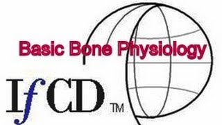 Bone Physiology in Clinical Practice