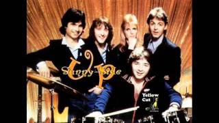 Paul McCartney & Wings - Love Awake (Guitar Demo)