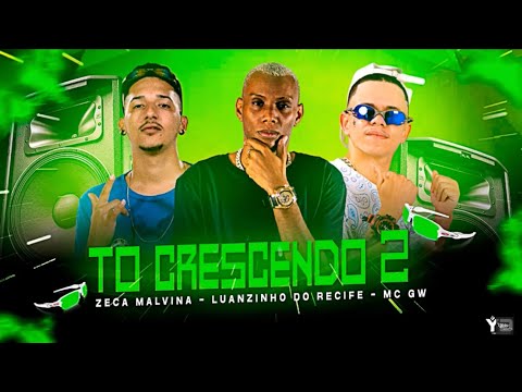 LUANZINHO DO RECIFE, ZECA MALVINA E MC GW - TO CRESCENDO 2