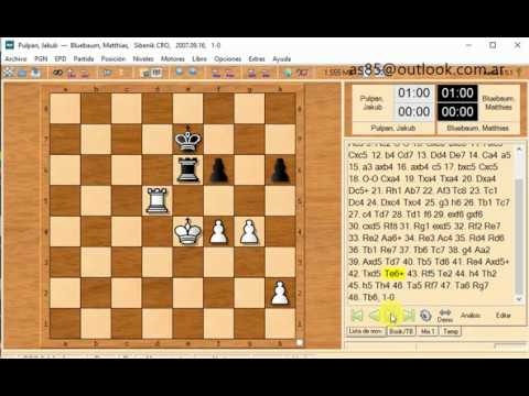 bluebaum matthias and pulpan jakub