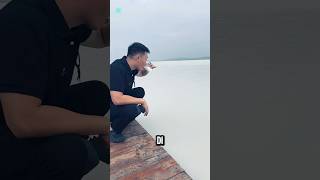 Download lagu LAUTAN SUSU DI TIONGKOK INI BISA DIMINUM⁉️#videoviral #informasi #keren mp3