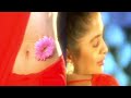 Ramya Krishnan Ramya Krishnan Navel Ramya Krishna Hot Navel Ramya Krishnan Elegant