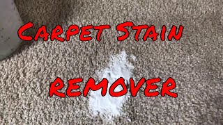 DIY Carpet Cleaning Solution For Pet Stains