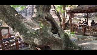 Karaekşi Mesire Alanı Mersin - Mut