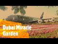 Dubai Miracle Garden