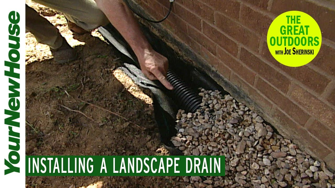 Should exterior drains have water in them? Tipseri