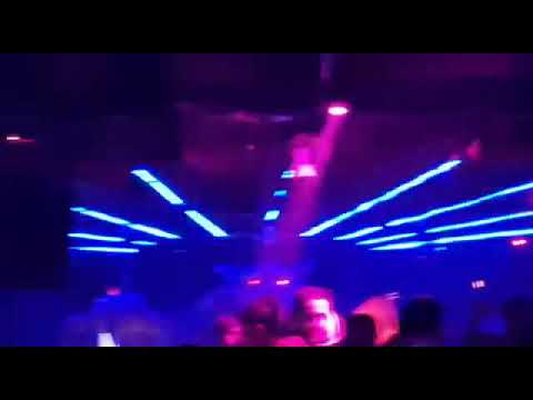 Tiger Club Phuket Thailand