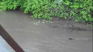 preview picture of video 'Rock Valley, IA: Rock River Flooding'