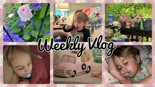 Weekly vlog