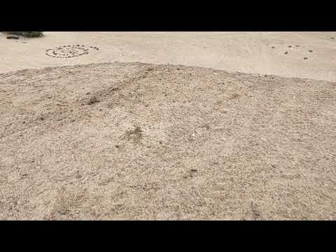 homemade salutes 20g- 45g-70g flash powder