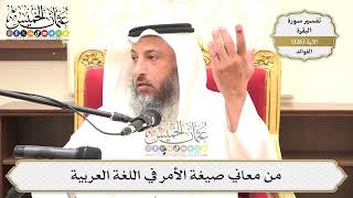 434- من معاني صيغة الأمر في اللغة العربية - عثمان الخميس