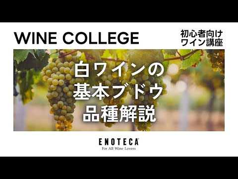 , title : '【ワイン講座】白ワインの基本ブドウ品種解説'